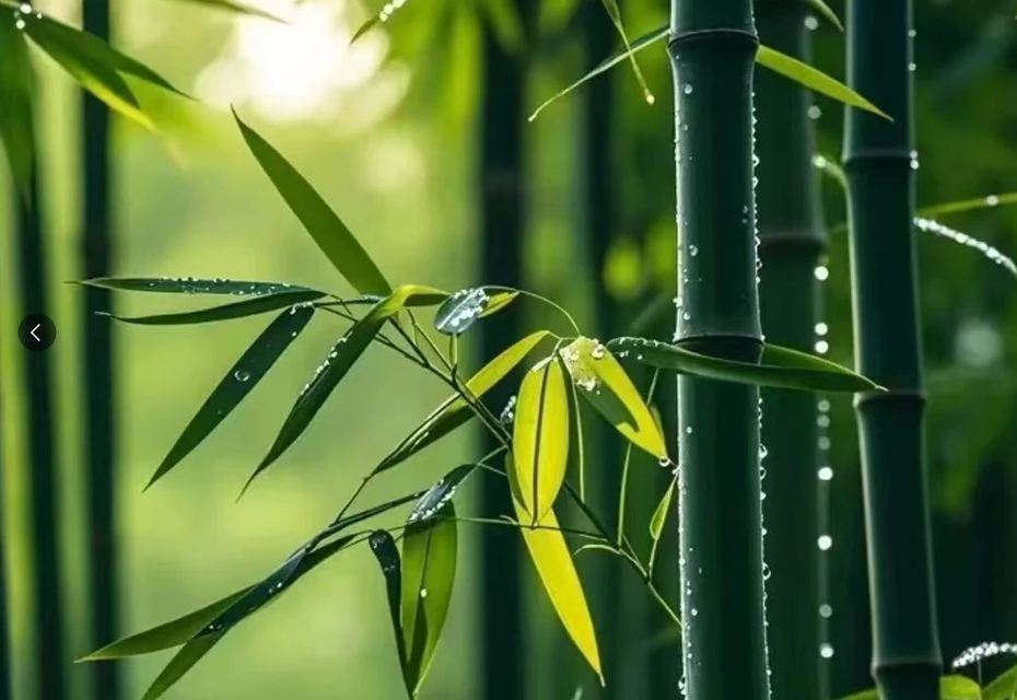 30個好聽又順口的公司名稱