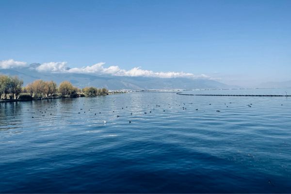 閨蜜網名大全2020特別新版的