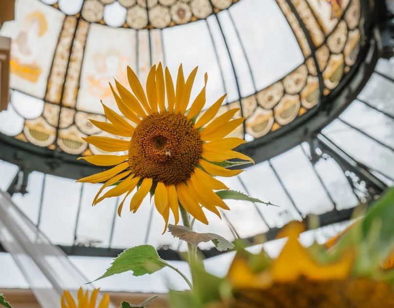 店鋪起名丨一半男裝一半女裝的店名