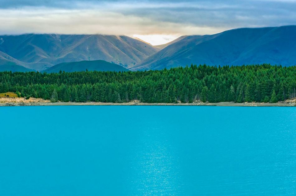 《梟起青壤》對抗路大女主聶九羅名字測試打分，解析~