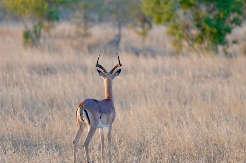 網(wǎng)名丨自由散漫的簡單網(wǎng)名