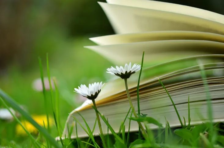 有關(guān)四季的稀少三字網(wǎng)名ID