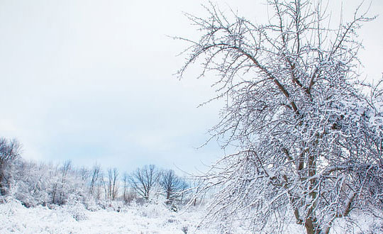 個性又好聽的CP微信網(wǎng)名大全