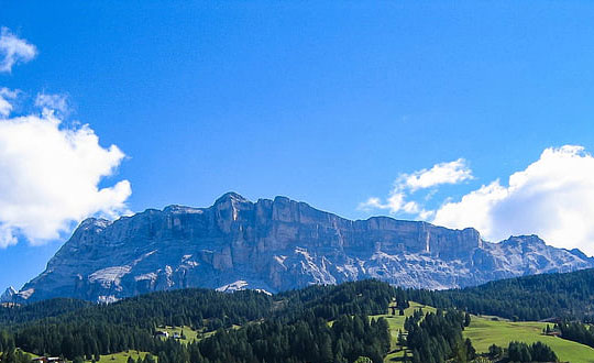 怎樣給自己的品牌取名字