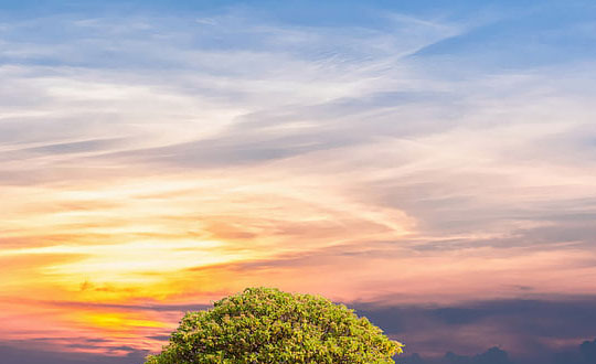 2022最新最好聽的英文名字大全