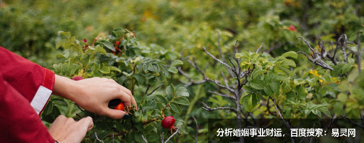 何炅這個名字怎么樣，名字解析，打分