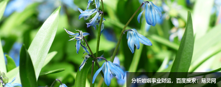 姚姓起名字大全男孩 姚姓男孩名字屬牛