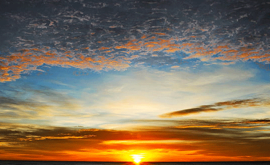 1581131956398751.png 9_142.png