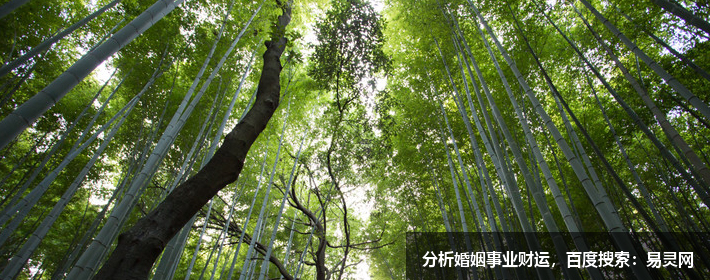 成熟有深度內涵的網名女生